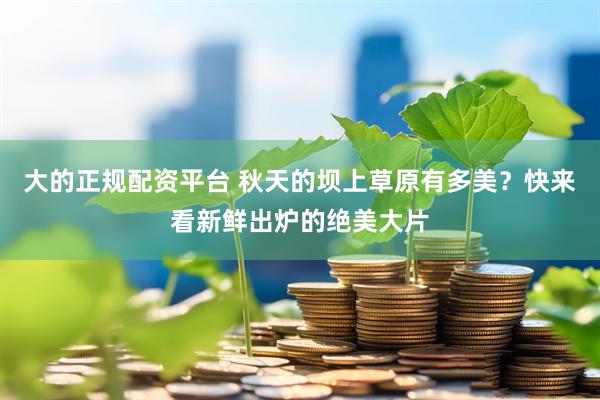 大的正规配资平台 秋天的坝上草原有多美？快来看新鲜出炉的绝美大片